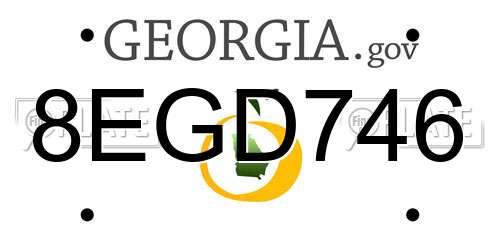 8EGD746 Georgia License Plate