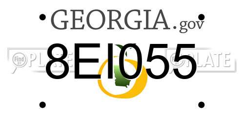 8EI055 Georgia License Plate