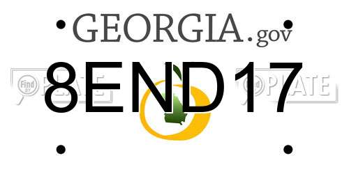 8END17 Georgia License Plate