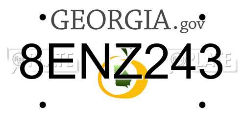 8ENZ243 Georgia License Plate