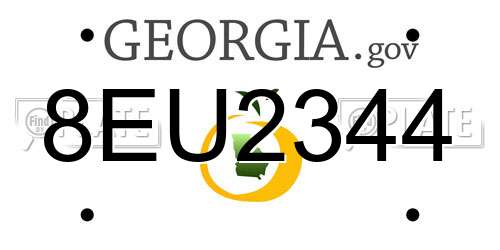 8EU2344 Georgia License Plate