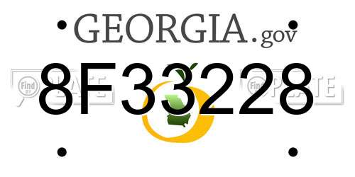 8F33228 Georgia License Plate