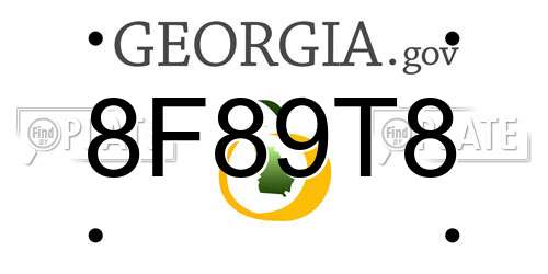 8F89T8 Georgia License Plate