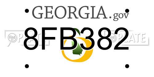 8FB382 Georgia License Plate