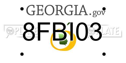8FBI03 Georgia License Plate