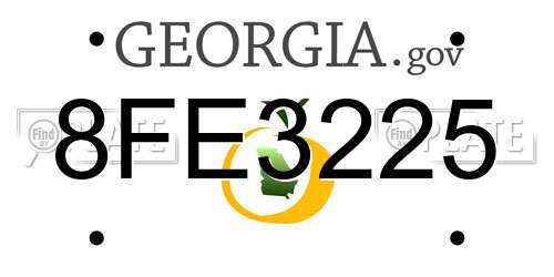 8FE3225 Georgia License Plate