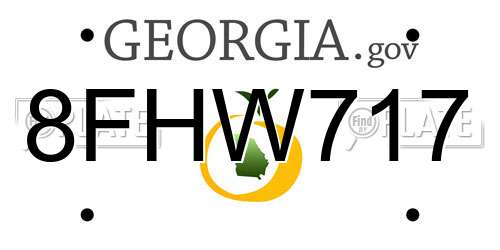 8FHW717 Georgia License Plate