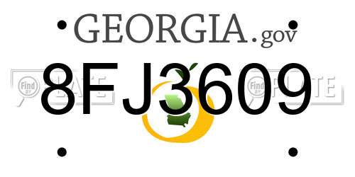 8FJ3609 Georgia License Plate