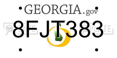 8FJT383 Georgia License Plate
