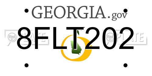 8FLT202 Georgia License Plate
