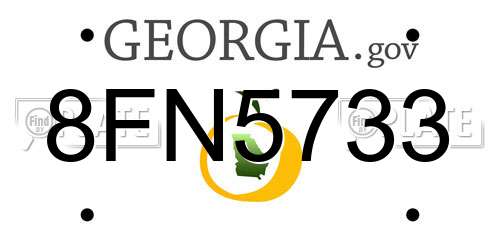 8FN5733 Georgia License Plate