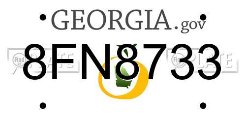 8FN8733 Georgia License Plate