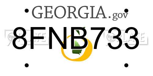 8FNB733 Georgia License Plate