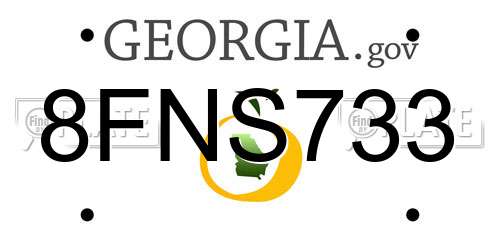 8FNS733 Georgia License Plate