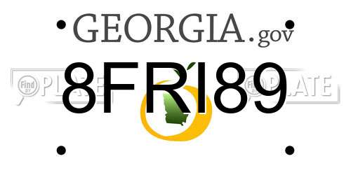 8FRI89 Georgia License Plate