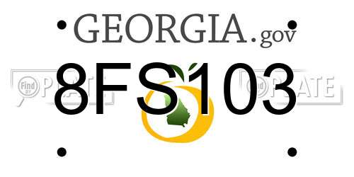 8FS103 Georgia License Plate