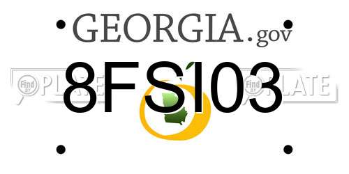 8FSI03 Georgia License Plate