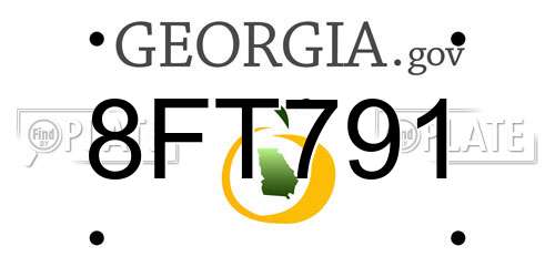 8FT791 Georgia License Plate