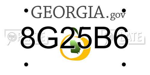 8G25B6 Georgia License Plate