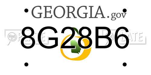 8G28B6 Georgia License Plate