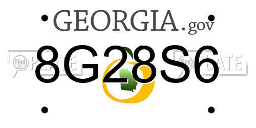 8G28S6 Georgia License Plate