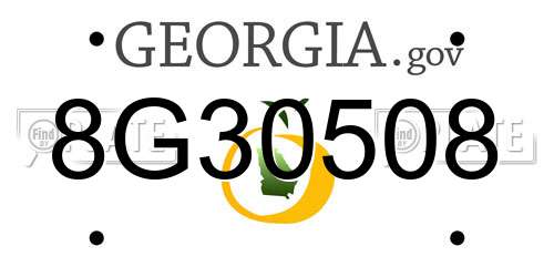 8G30508 Georgia License Plate