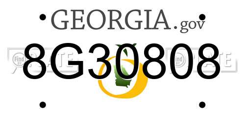 8G30808 Georgia License Plate