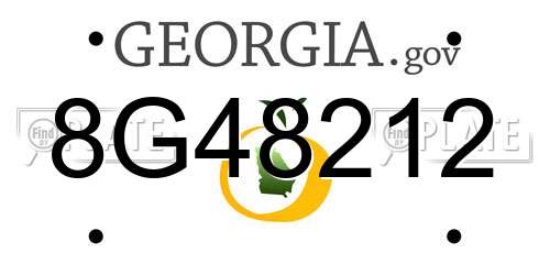 8G48212 Georgia License Plate