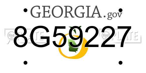 8G59227 Georgia License Plate