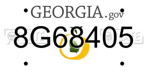 8G68405 Georgia License Plate