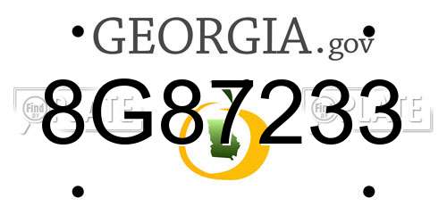 8G87233 Georgia License Plate