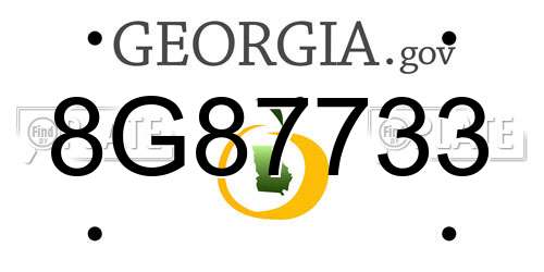 8G87733 Georgia License Plate