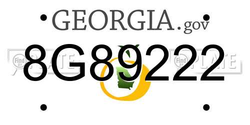8G89222 Georgia License Plate
