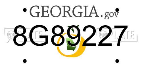 8G89227 Georgia License Plate