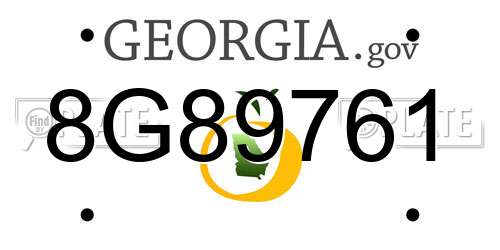 8G89761 Georgia License Plate