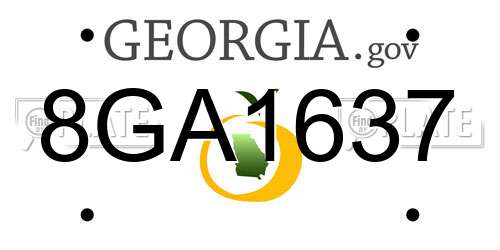 8GA1637 Georgia License Plate