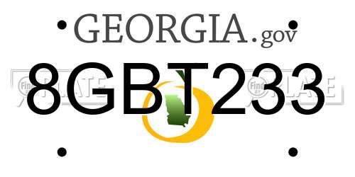 8GBT233 Georgia License Plate