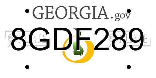8GDF289 Georgia License Plate