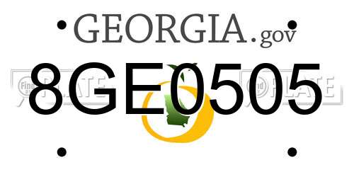8GE0505 Georgia License Plate