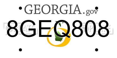8GEQ808 Georgia License Plate