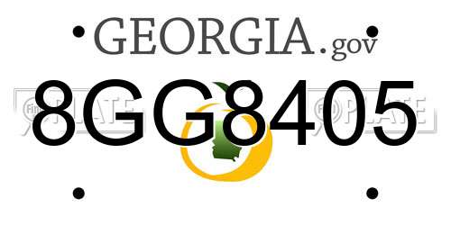 8GG8405 Georgia License Plate