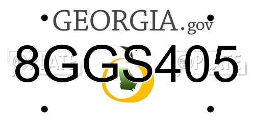 8GGS405 Georgia License Plate