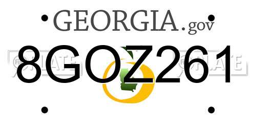 8GOZ261 Georgia License Plate
