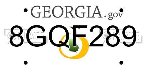 8GQF289 Georgia License Plate