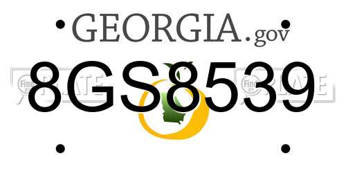 8GS8539 Georgia License Plate