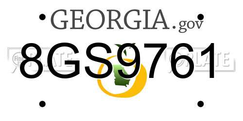8GS9761 Georgia License Plate