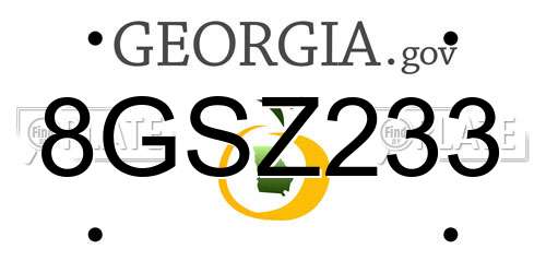 8GSZ233 Georgia License Plate