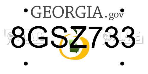 8GSZ733 Georgia License Plate