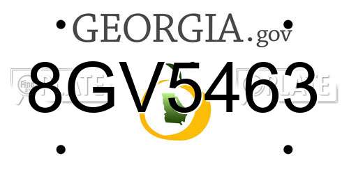 8GV5463 Georgia License Plate