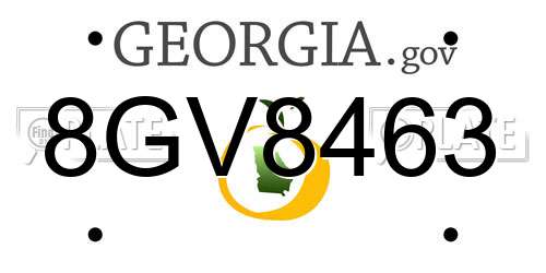 8GV8463 Georgia License Plate